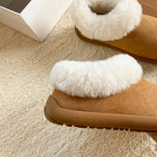 Teddy Low Boots 女裝鞋