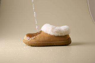 Teddy Low Boots 女裝鞋